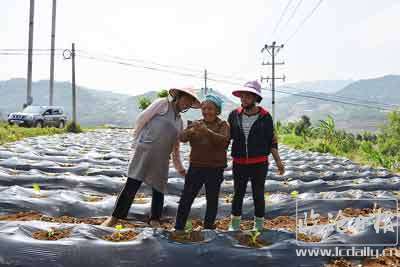 1589589850108765.jpg 8.jpg