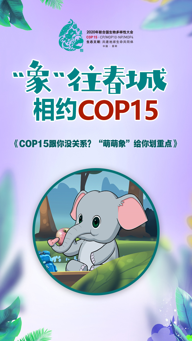 【海报】COP15跟你没关系？“萌萌象”给你划重点.jpg