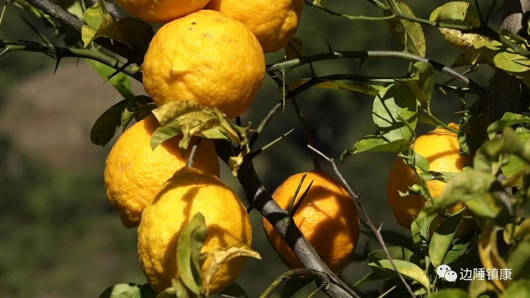 1640050579336938.jpg 2222.webp.jpg