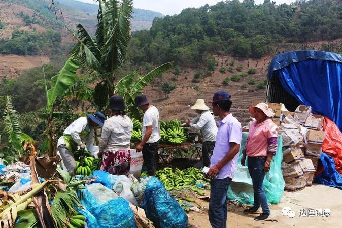 1640050698264602.jpg 1.webp.jpg