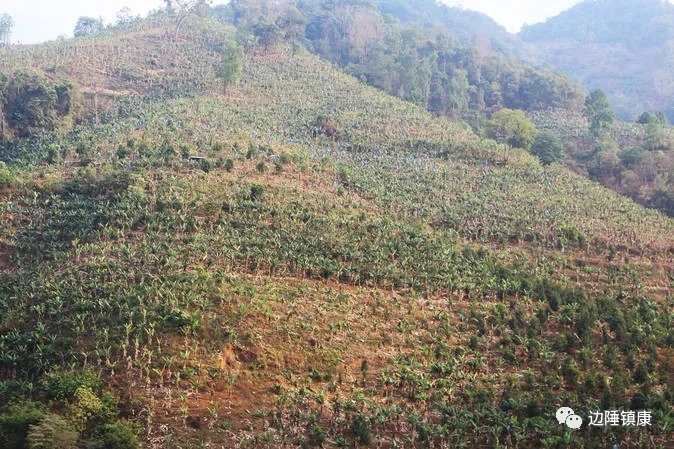 1640050705136290.jpg 2.webp.jpg